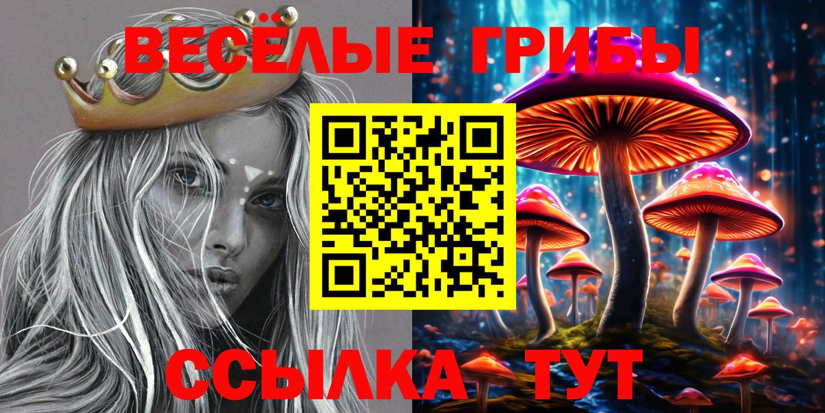 Галлюциногенные грибы GOLDEN TEACHER Менделеевск