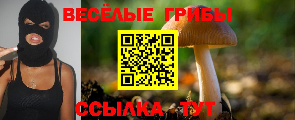 Галлюциногенные грибы Psilocybe  наркота  Менделеевск  Вход с VPN 